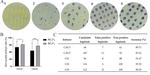 Development of In Vivo Haploid Inducer Lines for Screening Haploid Immature Embryos in Maize